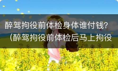 醉驾拘役前体检身体谁付钱？（醉驾拘役前体检后马上拘役吗）