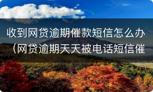 收到网贷逾期催款短信怎么办（网贷逾期天天被电话短信催收怎么办）