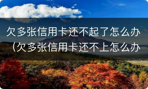 欠多张信用卡还不起了怎么办（欠多张信用卡还不上怎么办）