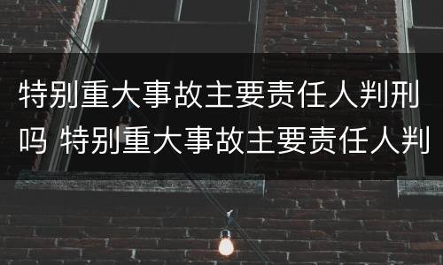 特别重大事故主要责任人判刑吗 特别重大事故主要责任人判刑吗为什么
