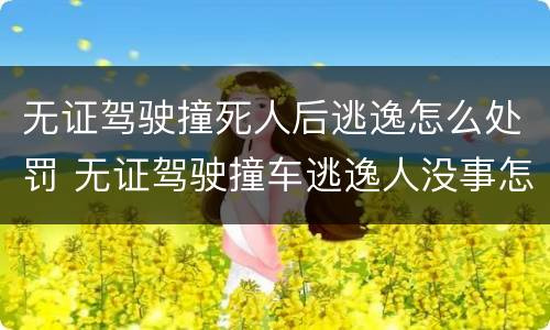 无证驾驶撞死人后逃逸怎么处罚 无证驾驶撞车逃逸人没事怎么处罚