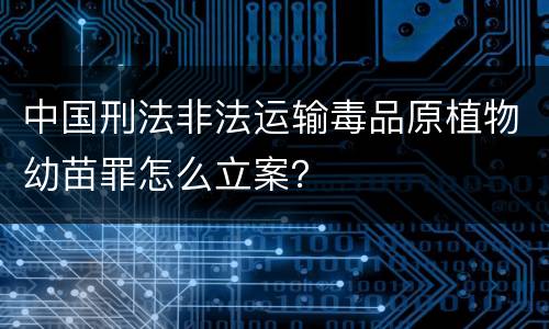 中国刑法非法运输毒品原植物幼苗罪怎么立案？