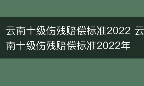 云南十级伤残赔偿标准2022 云南十级伤残赔偿标准2022年