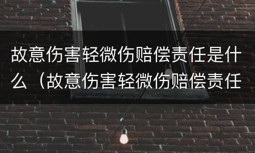 故意伤害轻微伤赔偿责任是什么（故意伤害轻微伤赔偿责任是什么标准）