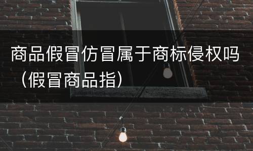 商品假冒仿冒属于商标侵权吗（假冒商品指）