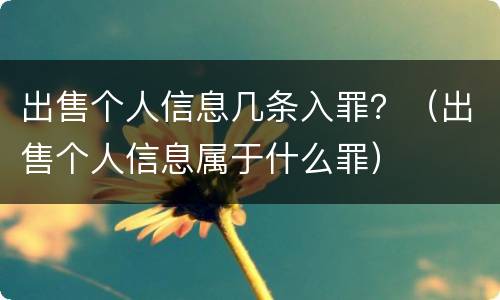 出售个人信息几条入罪？（出售个人信息属于什么罪）