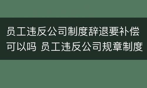 员工违反公司制度辞退要补偿可以吗 员工违反公司规章制度的辞退