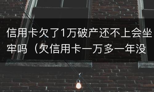 信用卡欠了1万破产还不上会坐牢吗（欠信用卡一万多一年没还会不会坐牢）
