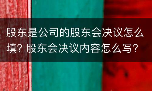 股东是公司的股东会决议怎么填? 股东会决议内容怎么写?