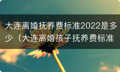 大连离婚抚养费标准2022是多少（大连离婚孩子抚养费标准2020）