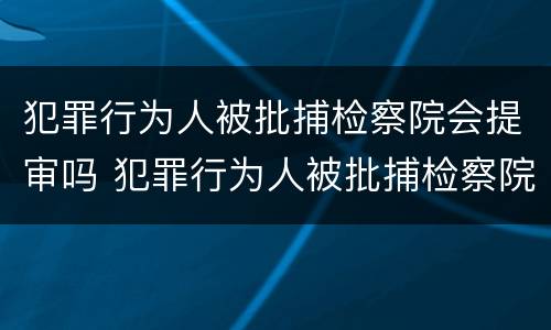 犯罪行为人被批捕检察院会提审吗 犯罪行为人被批捕检察院会提审吗知乎