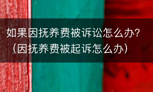 如果因抚养费被诉讼怎么办？（因抚养费被起诉怎么办）