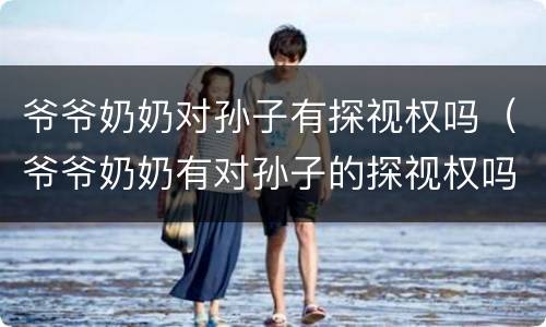 爷爷奶奶对孙子有探视权吗（爷爷奶奶有对孙子的探视权吗）