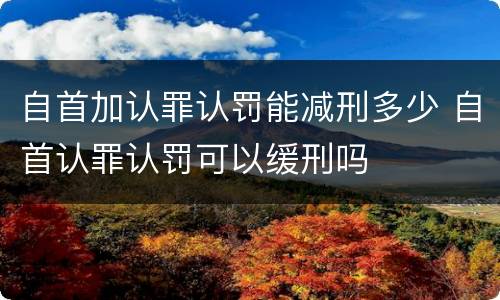 自首加认罪认罚能减刑多少 自首认罪认罚可以缓刑吗
