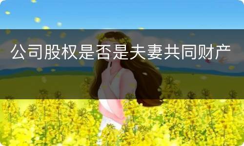 公司股权是否是夫妻共同财产