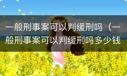 一般刑事案可以判缓刑吗（一般刑事案可以判缓刑吗多少钱）