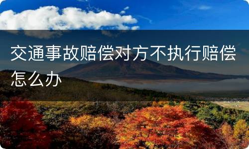 交通事故赔偿对方不执行赔偿怎么办