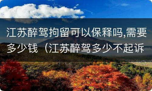 江苏醉驾拘留可以保释吗,需要多少钱（江苏醉驾多少不起诉）