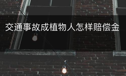 交通事故成植物人怎样赔偿金