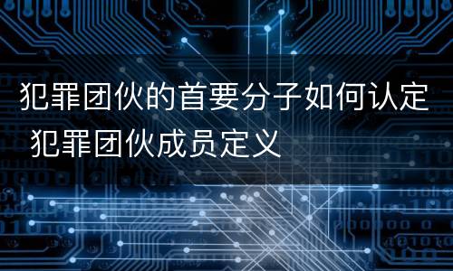 犯罪团伙的首要分子如何认定 犯罪团伙成员定义