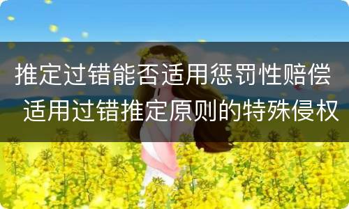 推定过错能否适用惩罚性赔偿 适用过错推定原则的特殊侵权