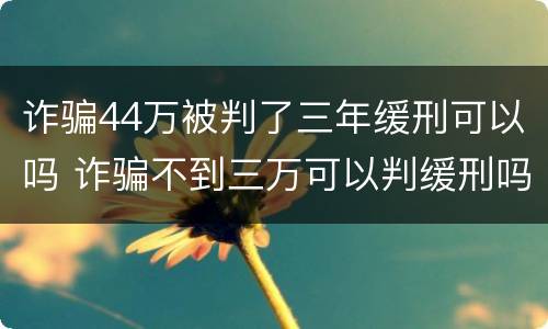 诈骗44万被判了三年缓刑可以吗 诈骗不到三万可以判缓刑吗