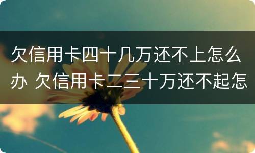 欠信用卡四十几万还不上怎么办 欠信用卡二三十万还不起怎么办