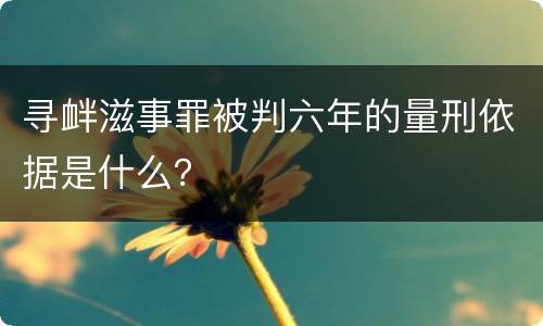 寻衅滋事罪被判六年的量刑依据是什么？