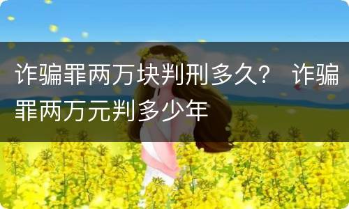 诈骗罪两万块判刑多久？ 诈骗罪两万元判多少年