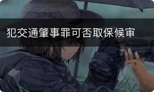 犯交通肇事罪可否取保候审