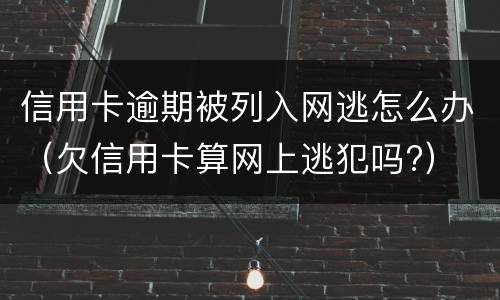 信用卡逾期被列入网逃怎么办（欠信用卡算网上逃犯吗?）