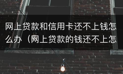 网上贷款和信用卡还不上钱怎么办（网上贷款的钱还不上怎么办）
