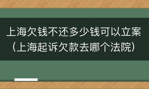 上海欠钱不还多少钱可以立案（上海起诉欠款去哪个法院）