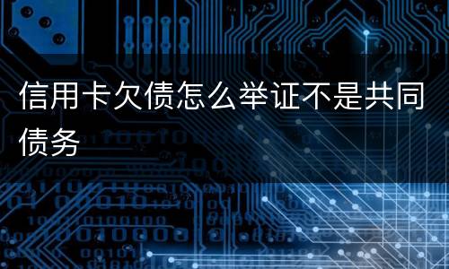 信用卡欠债怎么举证不是共同债务