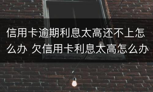 信用卡逾期利息太高还不上怎么办 欠信用卡利息太高怎么办