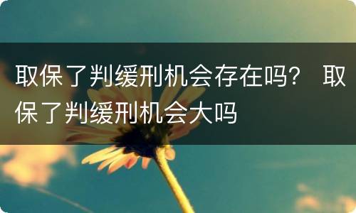 取保了判缓刑机会存在吗？ 取保了判缓刑机会大吗