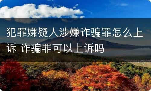 犯罪嫌疑人涉嫌诈骗罪怎么上诉 诈骗罪可以上诉吗