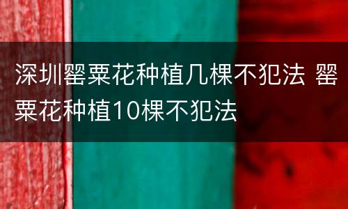 深圳罂粟花种植几棵不犯法 罂粟花种植10棵不犯法
