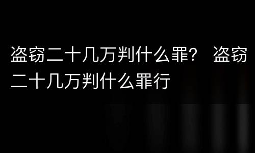 盗窃二十几万判什么罪？ 盗窃二十几万判什么罪行
