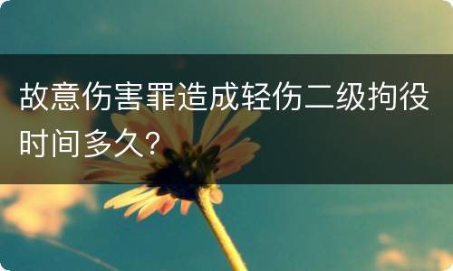 故意伤害罪造成轻伤二级拘役时间多久？