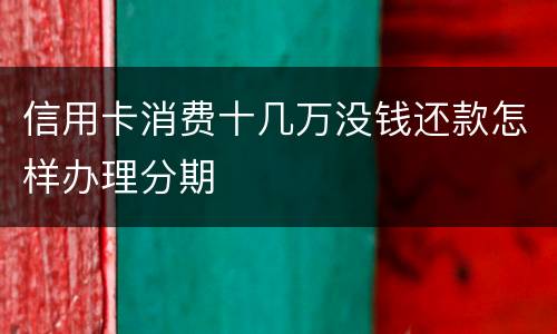 信用卡消费十几万没钱还款怎样办理分期