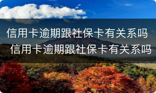 信用卡逾期跟社保卡有关系吗 信用卡逾期跟社保卡有关系吗知乎