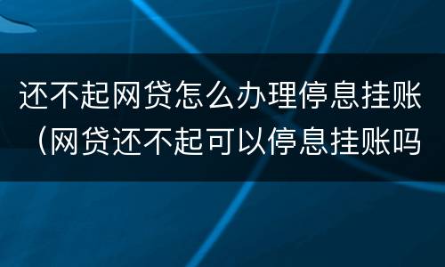 还不起网贷怎么办理停息挂账（网贷还不起可以停息挂账吗）