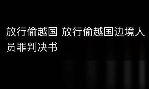 放行偷越国 放行偷越国边境人员罪判决书