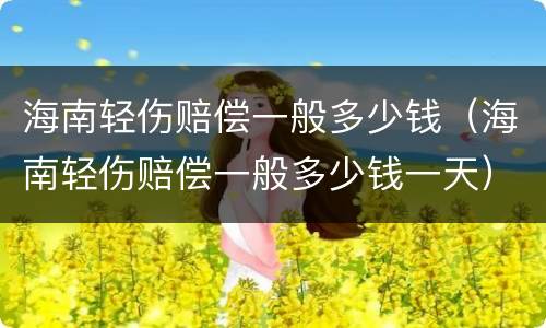 海南轻伤赔偿一般多少钱（海南轻伤赔偿一般多少钱一天）