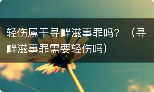 轻伤属于寻衅滋事罪吗？（寻衅滋事罪需要轻伤吗）