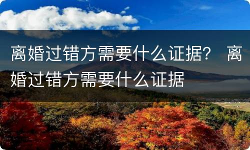 离婚过错方需要什么证据？ 离婚过错方需要什么证据
