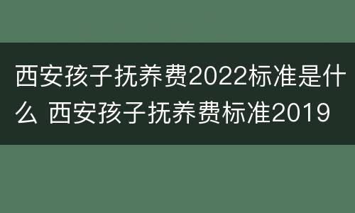 西安孩子抚养费2022标准是什么 西安孩子抚养费标准2019