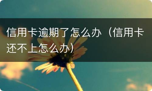 信用卡逾期了怎么办（信用卡还不上怎么办）