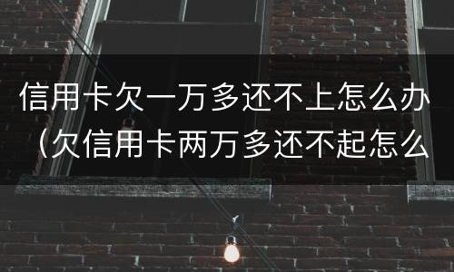 信用卡欠一万多还不上怎么办（欠信用卡两万多还不起怎么办）